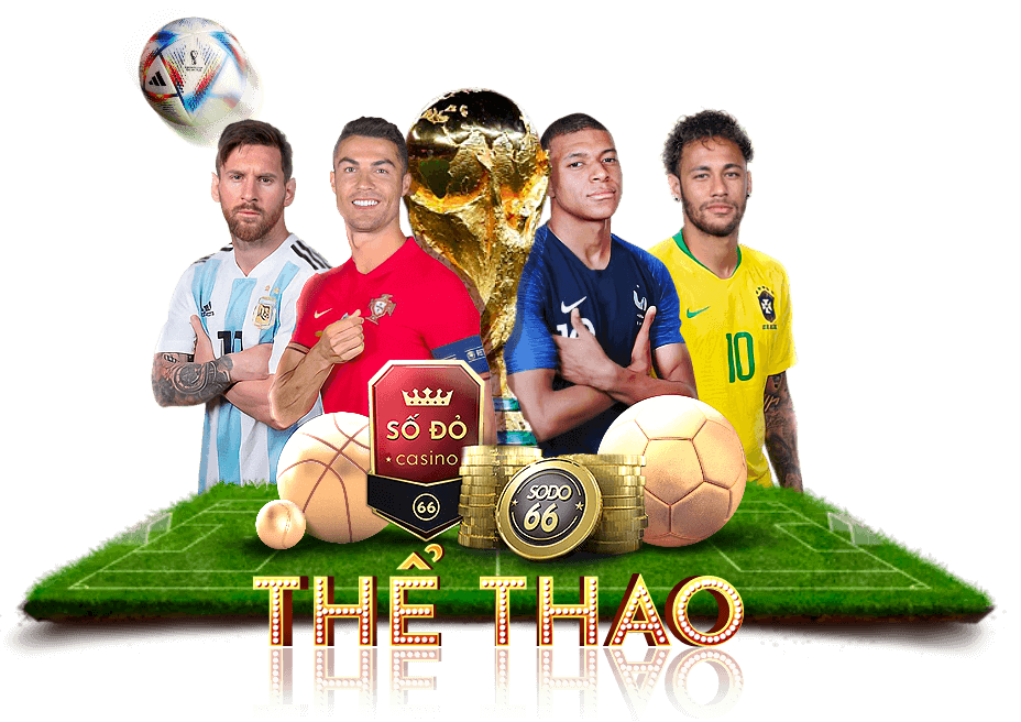the-thao-tt3979